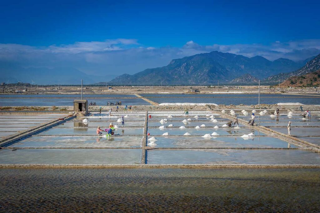 Traditional salt farming at Ninh Thuan salt fields near Ninh Chu, with workers raking salt under the sun.