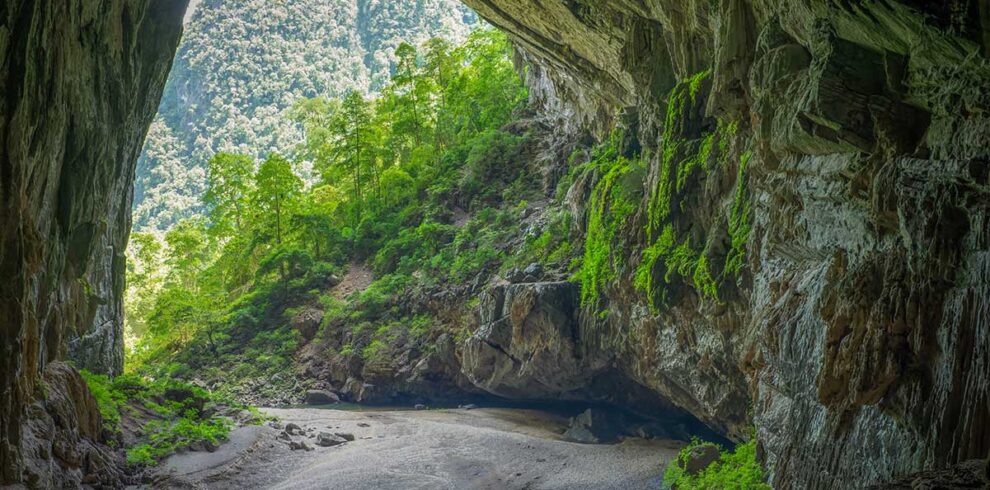 Phong Nha Vietnam – Local Vietnam tours | entrance of a large cave with jungle and limestone cliffs in Phong Nha-Ke Bang National Park