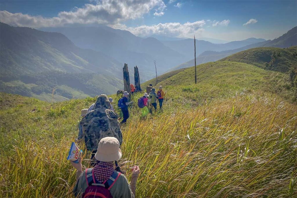 Trekking tour in Phuoc Binh – Group of hikers walking through tall grass on a trail in Phuoc Binh National Park.