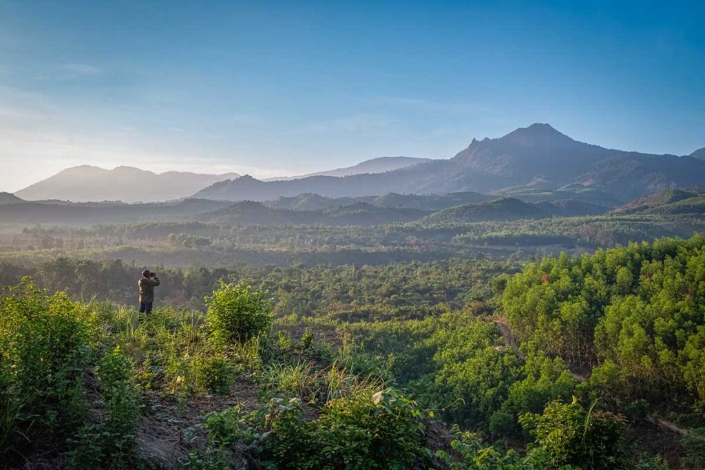 Highland viewpoint in Phuoc Binh – Wide panorama of forested valleys and rugged mountains in Ninh Thuan’s Phuoc Binh.