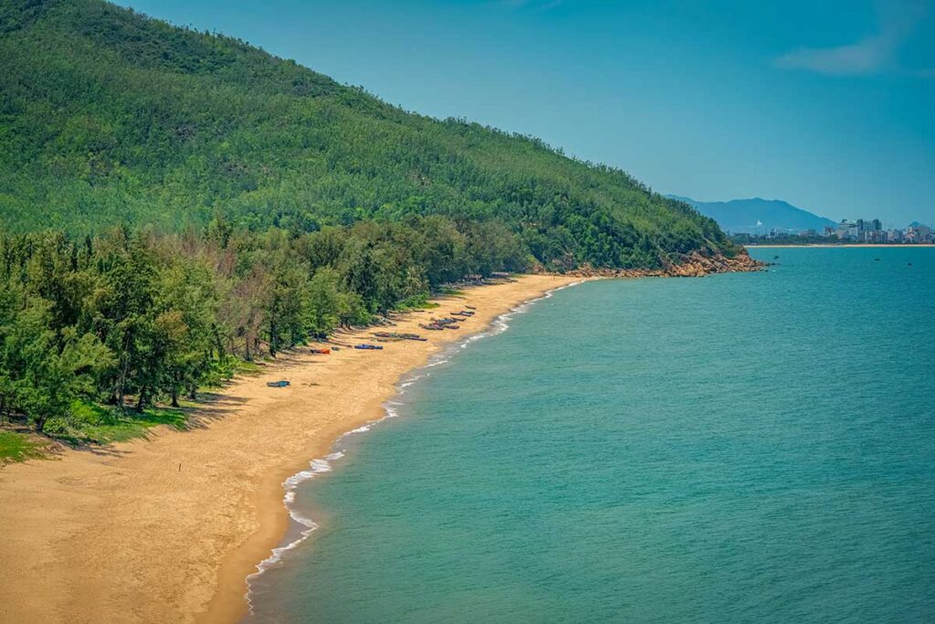 Tree-lined Quy Hoa Beach south of Quy Nhon: long golden sand, calm waves and moored fishing boats.