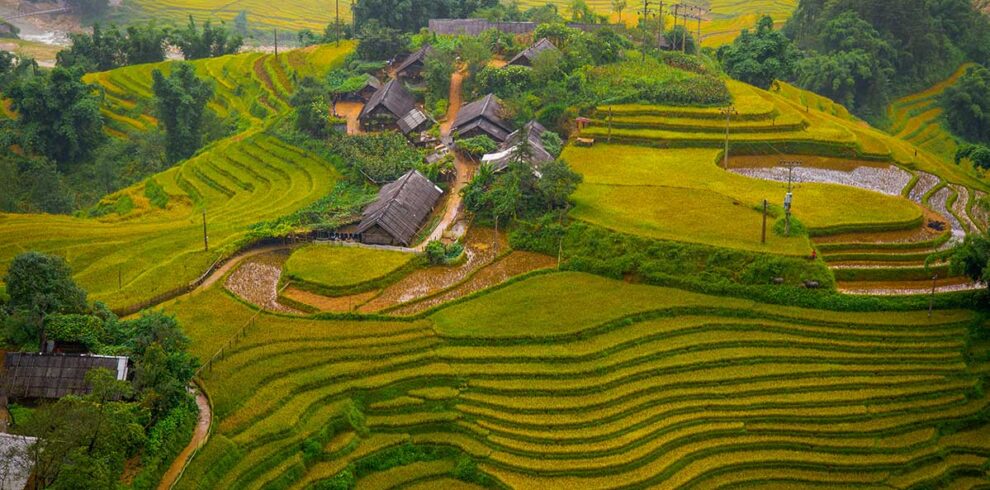 Sapa Vietnam – Local Vietnam tours | traditional village surrounded by golden rice terraces during harvest season in Sapa
