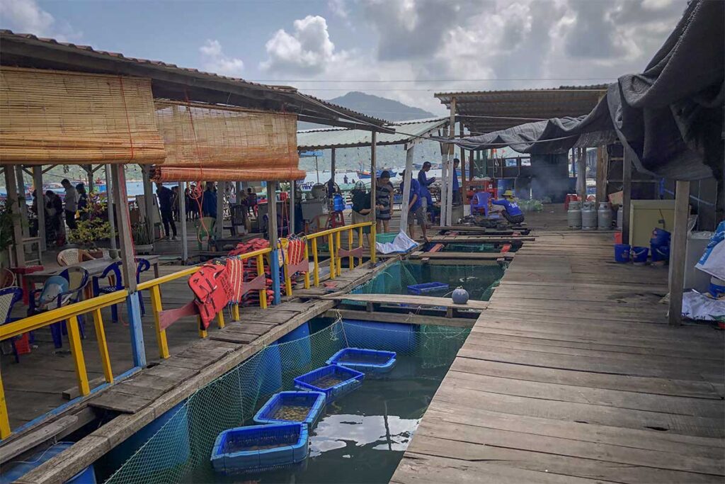 Simple floating seafood restaurant in Vung Ro Bay, where live lobsters and fish are kept in nets before being cooked for guests.