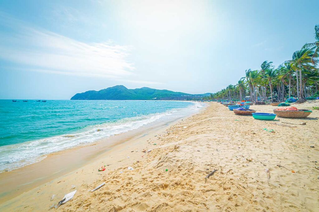 Shoreline of Vinh Hoa Fishing Village, coracle boats pulled onto the sand beneath rows of palm trees.