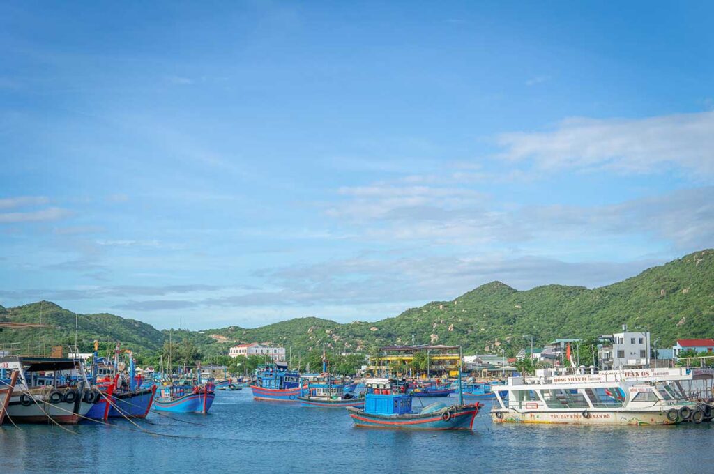 Fishing port at Vinh Hy Bay with colorful boats – Traditional Vietnamese fishing boats and tour boats lined up at the small harbor of Vinh Hy Bay, set against the green coastal hills.