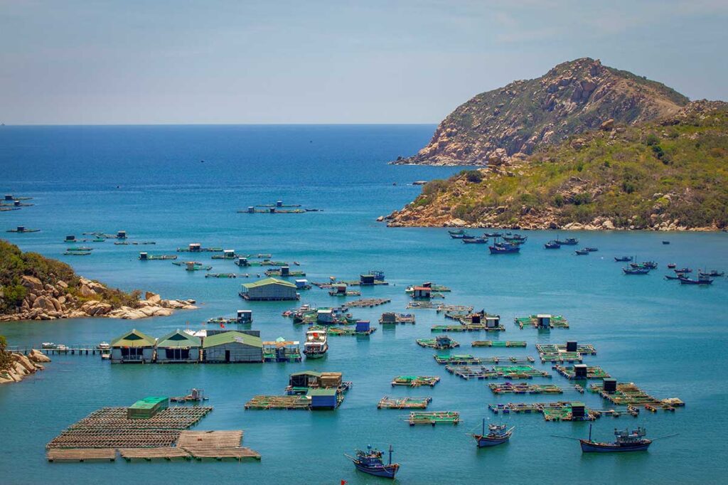 Floating seafood farms on the water in Vinh Hy Bay – Wooden rafts and huts anchored in the bay, where fresh fish and shellfish are raised and served to visitors.