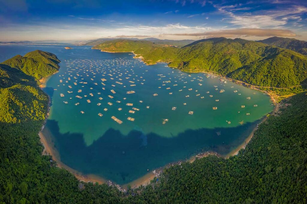 Panoramic drone view of Vung Ro Bay in Phu Yen, dotted with hundreds of floating fish farms framed by green mountains.