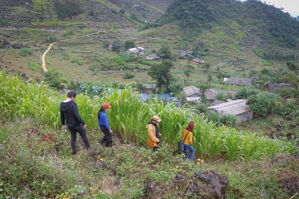 Group trekking through terraced hills and small villages near Ha Giang Aya Lodge.