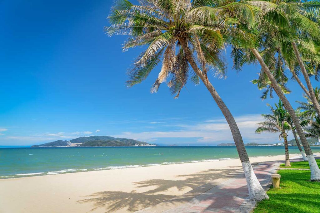 Nha Trang Island tours with a palm-lined beach and clear blue water along the coast
