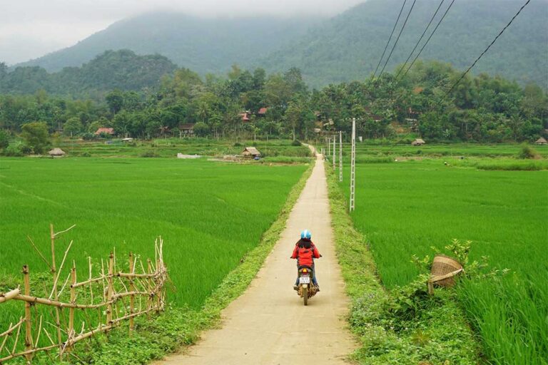 Nhung Phung exploring the rice fields of Pu Luong Nature Reserve — a favorite destination for travelers seeking traditional Thai villages and mountain scenery.