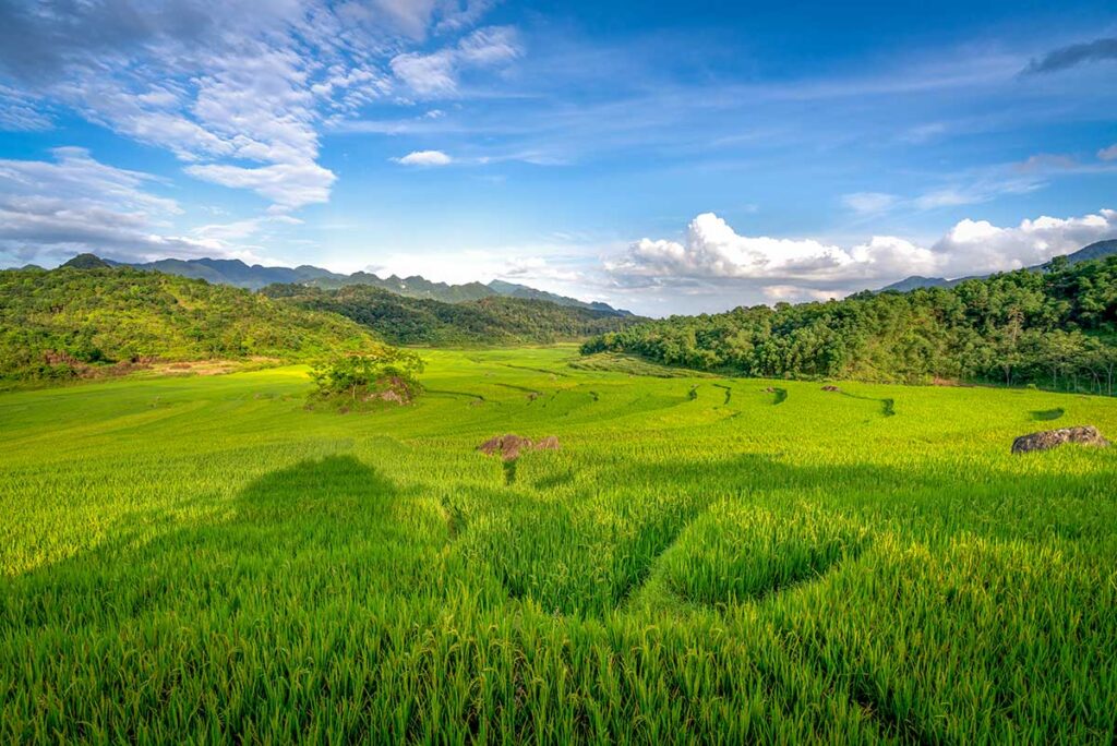 Lush green rice fields and limestone mountains in Pu Luong Nature Reserve, a peaceful stop on eco-friendly North Vietnam tours.