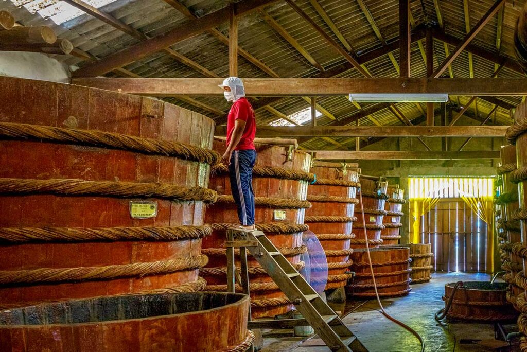 Phu Quoc fish sauce factory tours with workers inspecting large wooden fermentation barrels inside the production hall