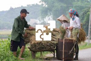 Private Mai Chau tour with a custom itinerary, meeting local farmers and exploring lush rice fields in rural valleys.