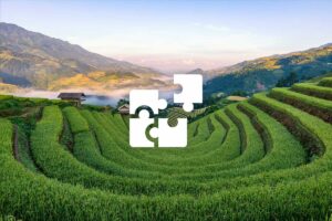 Private Mu Cang Chai tour with a tailored itinerary, showcasing sweeping terraced rice fields and mountain landscapes.