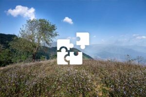 Private Son La tour with a custom itinerary, exploring wildflower hills, open mountain views, and peaceful rural scenery.