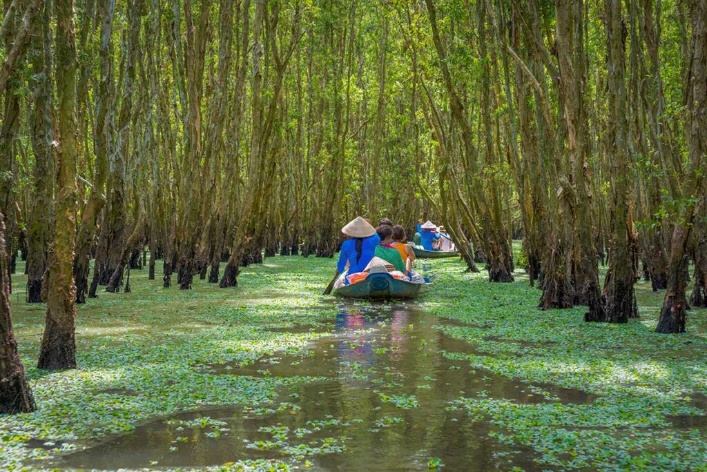 Travelers on a small boat gliding through flooded cajuput forests in the Mekong Delta – a peaceful experience on southern Vietnam tours.