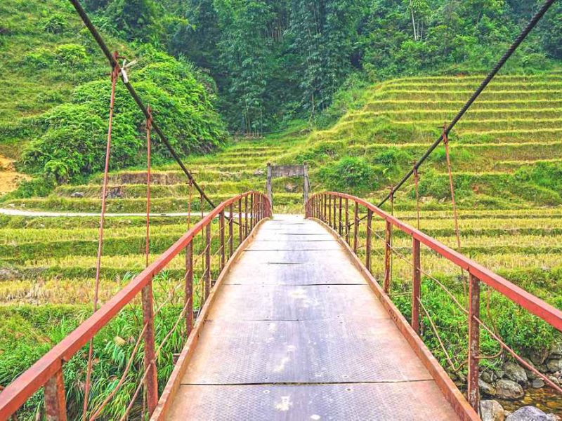 1 day sapa trekking lao chai 3-1 1 day sapa trekking lao chai 3-1