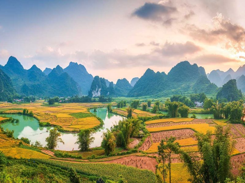 autumn cao bang phong nam valley 1 Phong Nam Valley in Autumn – A picturesque view of Phong Nam Valley in autumn, with partially harvested rice fields and clear blue skies, capturing the transition between seasons.