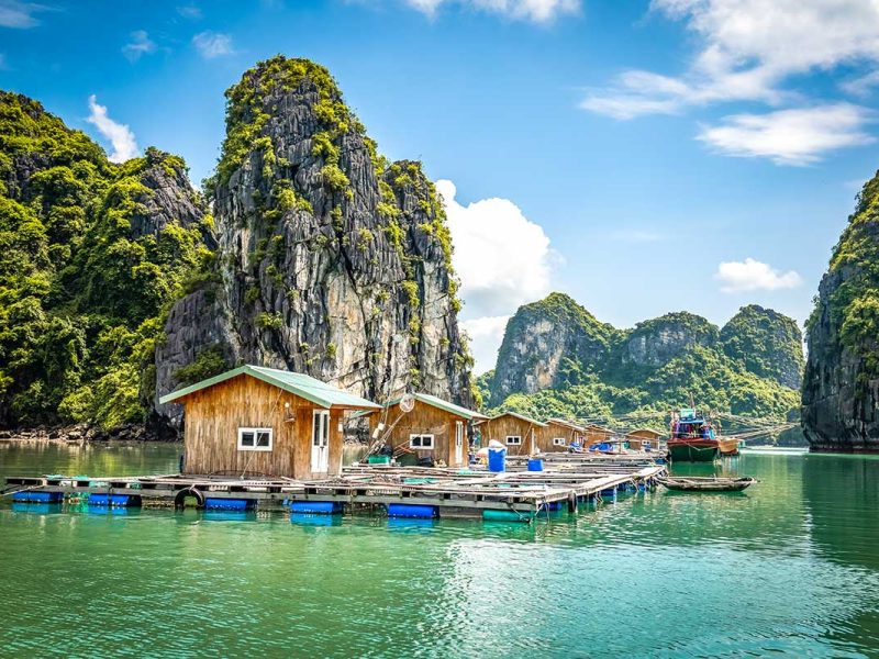 bai tu long bay floating village 1 A floating village in Bai Tu Long Bay