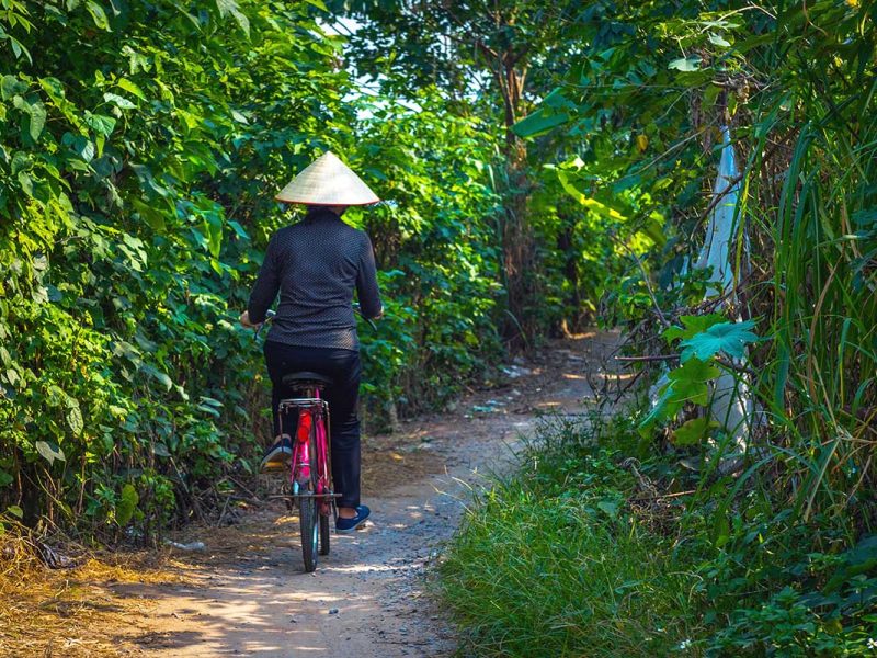 banana island hanoi 1 a local woman cycling through the banana plantations on Banana Island in Hanoi