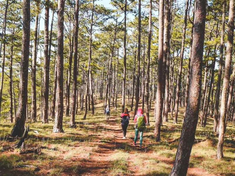 Bidoup trekking & camping