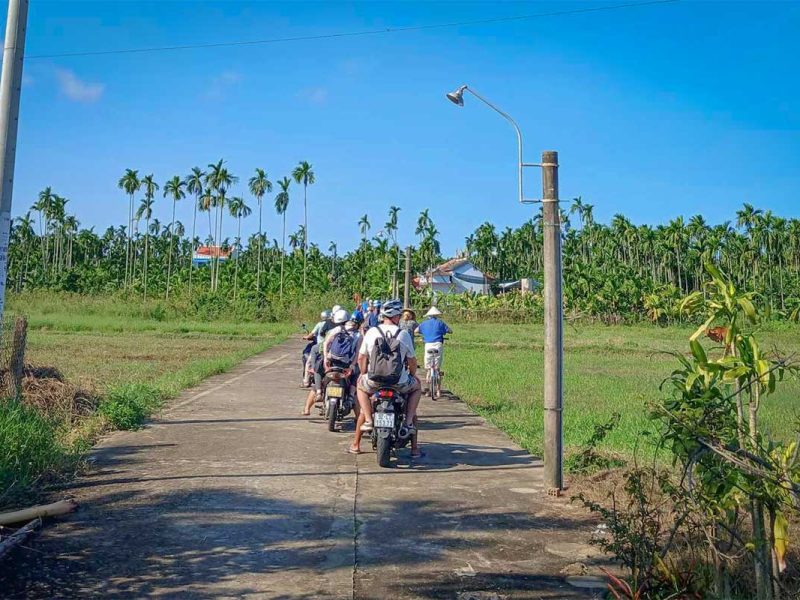 cam kim island motorbike tour hoi an 1 Group of travelers riding motorbikes through Cam Kim Island’s countryside, surrounded by lush fields and palm trees.