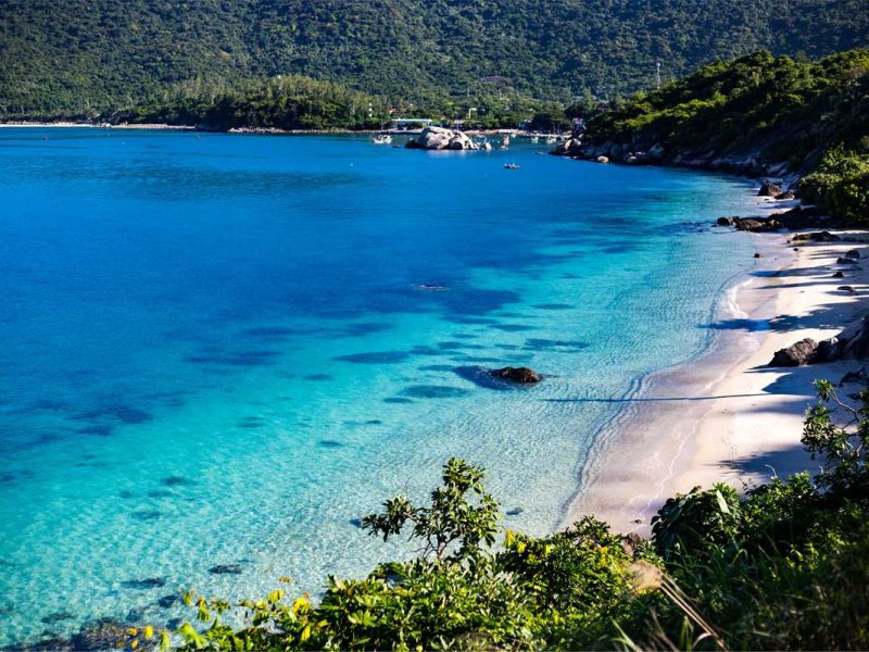 cham island vietnam Cham Island Vietnam