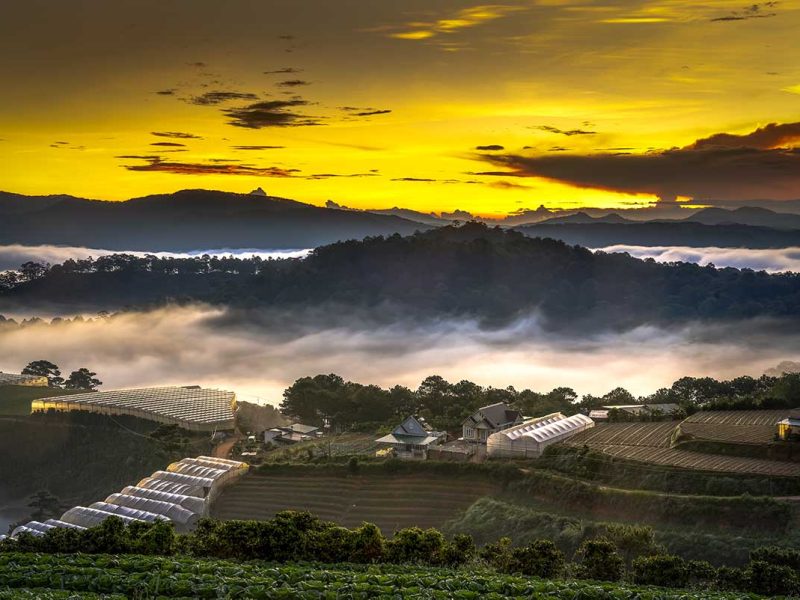 Dalat Countryside: Lush green valleys, mountains, and plantations surround the city of Dalat, Vietnam.