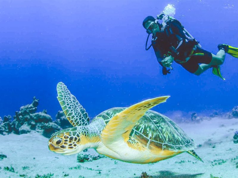 Diving in Con Dao