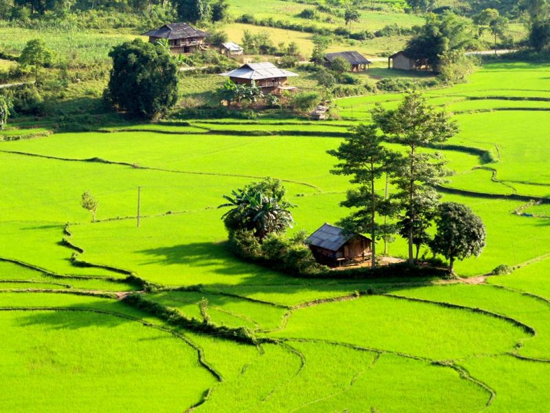 du gia 1 A view of Du Gia with green rice fields and stilt houses of ethnic Tay people