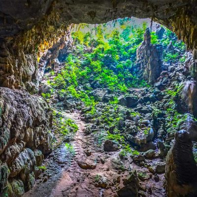 Opening of Elephant Cave in Phong Nha - Ke Bang National Park