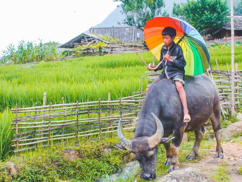giang ta chai village 2 giang ta chai village 2