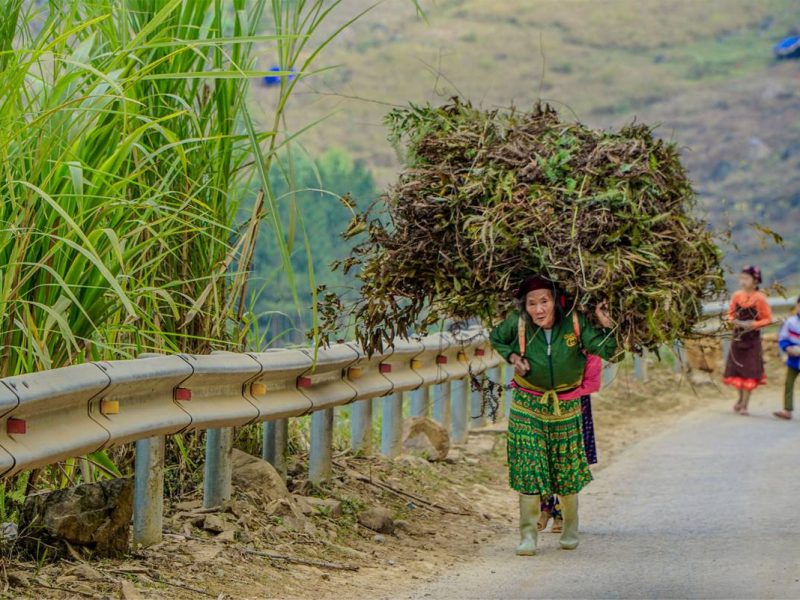 Ha Giang loop local minorities 2