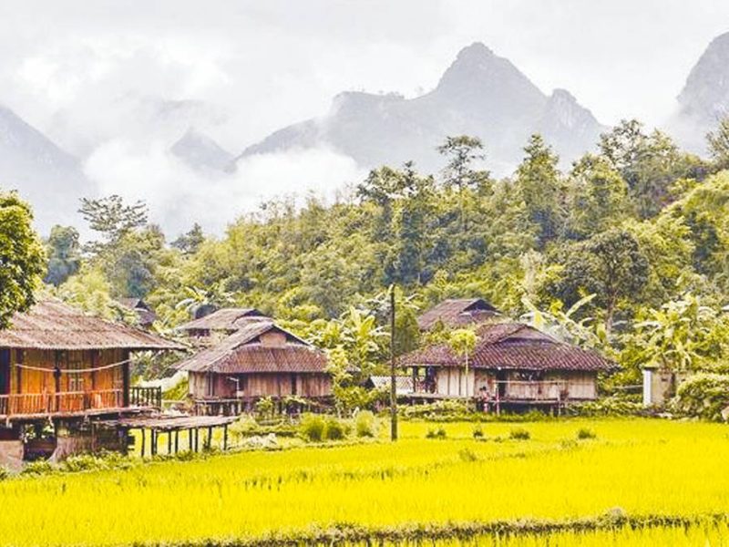 ha giang loop tour 42 Ha Giang loop tour