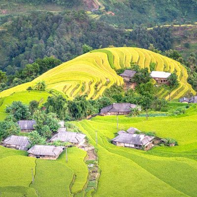 The stunning terraced rice fields of Hoang Su Phi, where the top fields remain green while the lower fields turn golden yellow, marking the start of the harvest season in September.