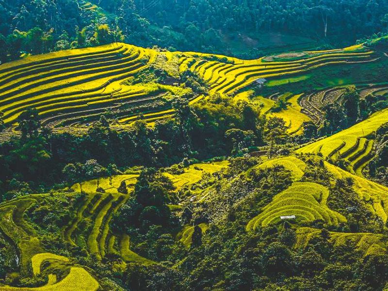 Hoang Su Phi Hoang Su Phi