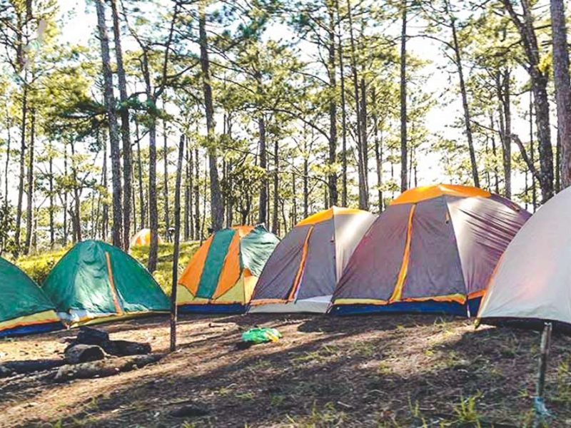 Jungle fever trekking and camping in Dalat