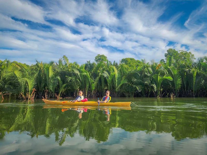 kayaking hoi an old town mangrove tour 7 Kayaking through lush nipa palm mangroves with calm green water outside Hoi An