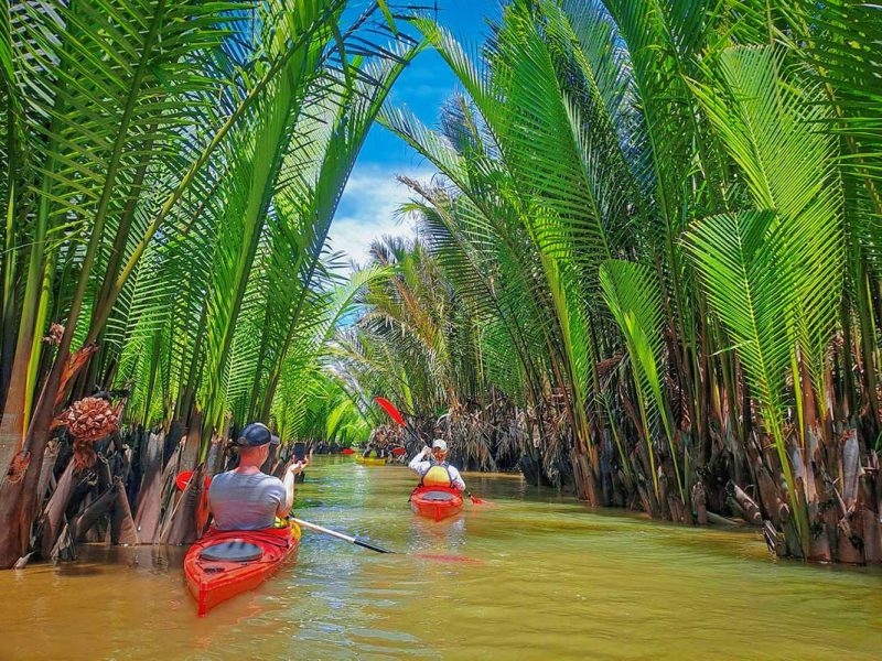 kayaking tour hoi an mangrove forest 1 Kayaking beside tall nipa palms inside the Hoi An mangrove forest on the Kayaking Tour Hoi An Mangrove Forest