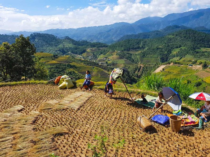 Ethnic people are working on a terraced rice fields at La Pan Tan in Mu Cang Chai