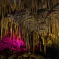 Stalactites in Lung Khuy Cave illuminated by pink LED lights, creating a surreal underground scene.