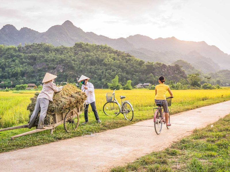 Cycling through the Vietnam's countryside with rice fields in Mai Chau