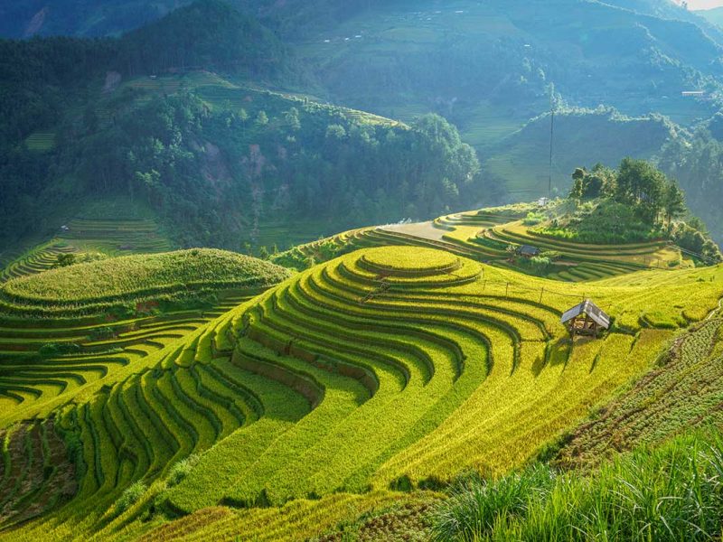mam xoi hill viewpoint mu cang chai 1 Mam Xoi Hill viewpoint overlooking the round rice terraces of Mu Cang Chai