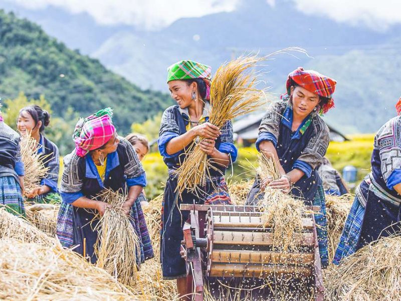 minorities in Mu Cang Chai