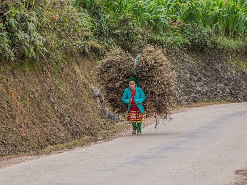 minority ha giang loop tour minority in the Ha Giang Loop tour