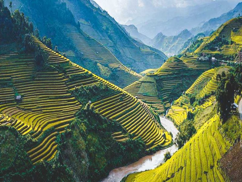 Mu Cang Chai rice terraces