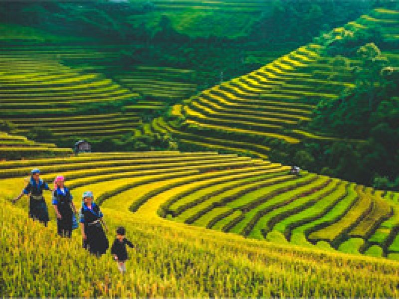 muong hoa valley