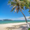 Nha Trang Island tours with a palm-lined beach and clear blue water along the coast