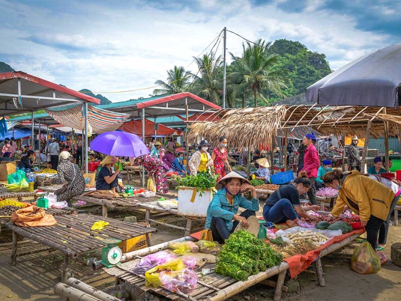 pho doan market pu luong 4 Stalls low the the ground with vegetables at Pho Doan Market