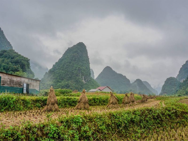 phong nam valley cao bang 1 Phong Nam valley in Cao Bang